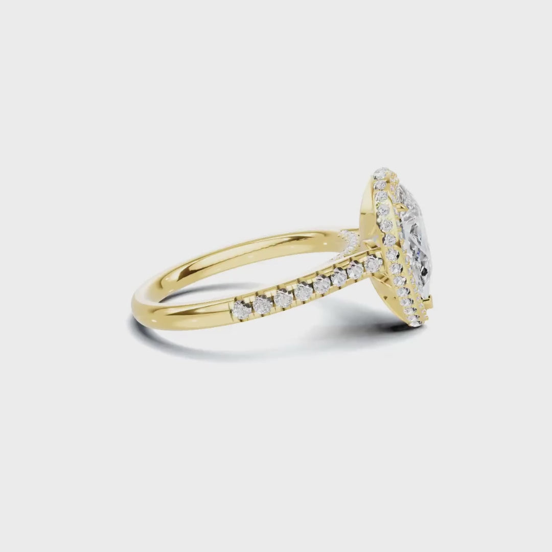 Fixed Video